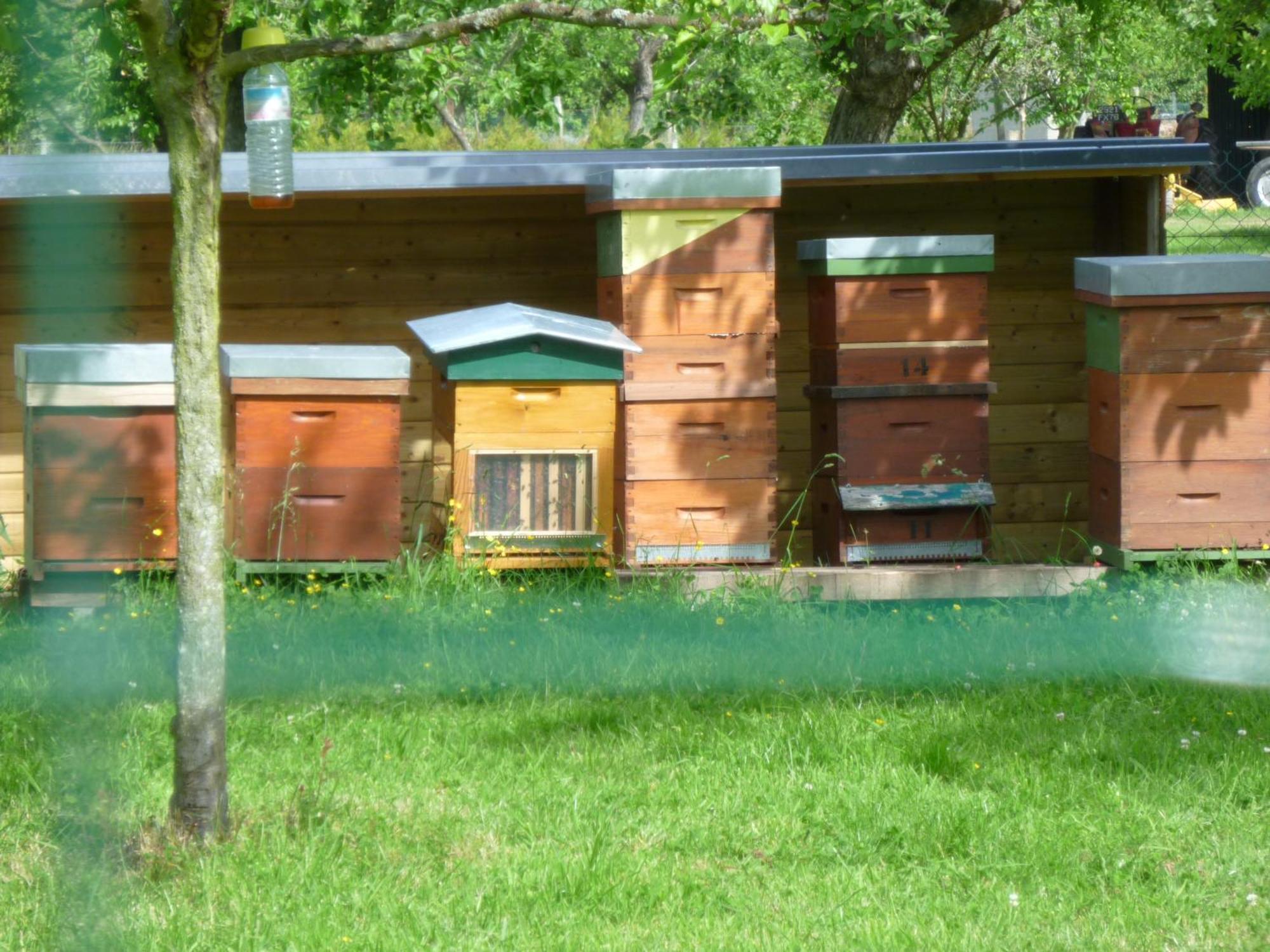 Chambre D'Hotes Au Fil De L'Eau Jumièges Екстериор снимка
