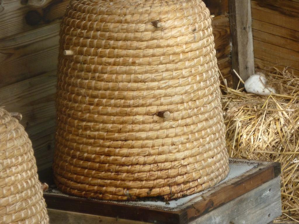 Chambre D'Hotes Au Fil De L'Eau Jumièges Екстериор снимка